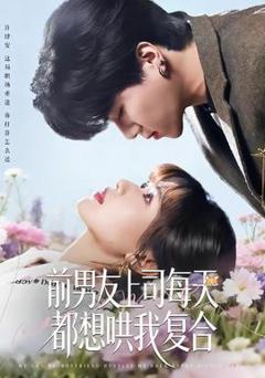 《前男友上司每天都想哄我复合》