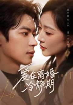 《爱在离婚冷静期》
