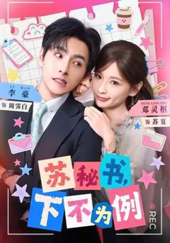 《苏秘书，下不为例》