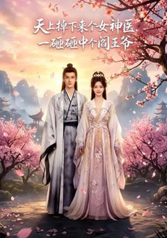 《天上掉下来个女神医，一砸砸中个阎王爷》