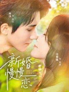 《新婚慢慢恋》