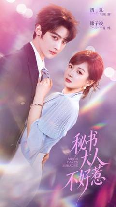 《秘书大人不好惹》