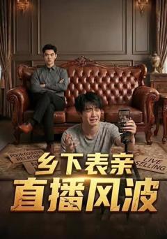 《乡下表亲直播风波》