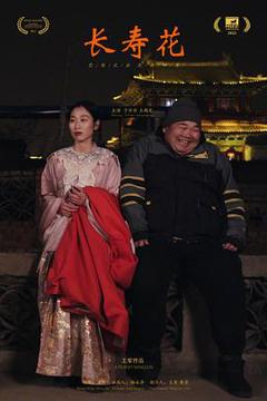 《长寿花》