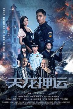 《天龙押运》