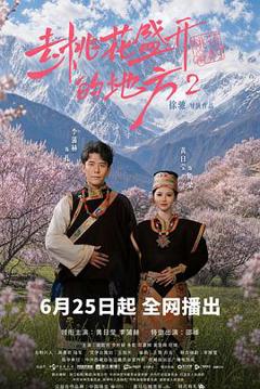 《去桃花盛开的地方2》