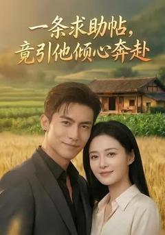 《一条求助帖，竟引他倾心奔赴》