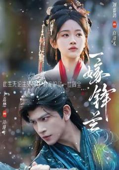 《一嫁锋芒》