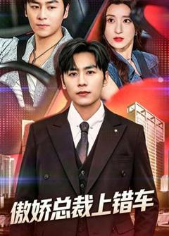 《傲娇总裁上错车》