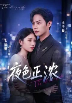 《夜色正浓》