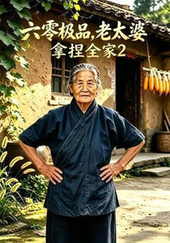 《六零极品，老太婆拿捏全家2》