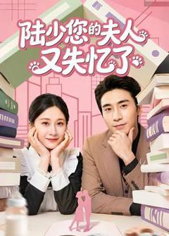 《陆少您的夫人又失忆了》
