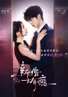 《新婚有瘾》