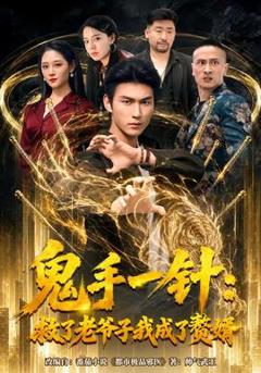 《鬼手一针：救了老爷子我成了赘婿》