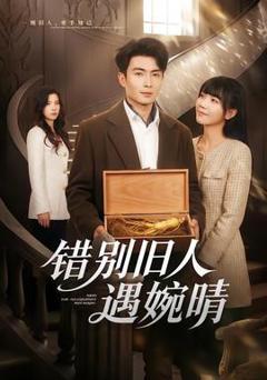 错别旧人遇婉晴