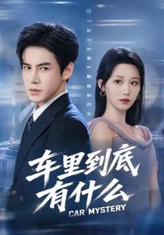 《车里到底有什么》