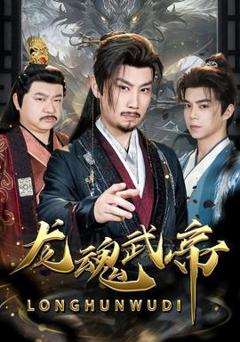 《龙魂武帝》