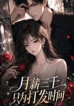 《月薪三千只为打发时间》