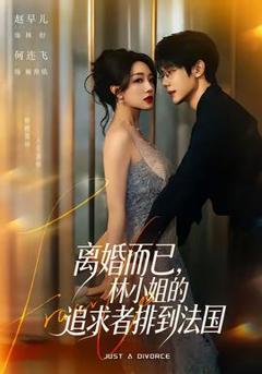 《离婚而已，林小姐的追求者排到法国》