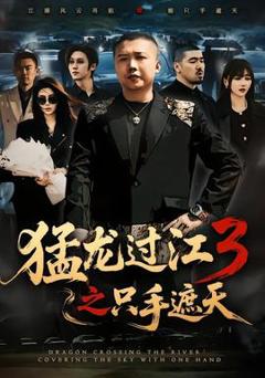 《猛龙过江3之只手遮天》