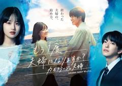 《要再做一次夫妇吗？～伪装夫妇～》
