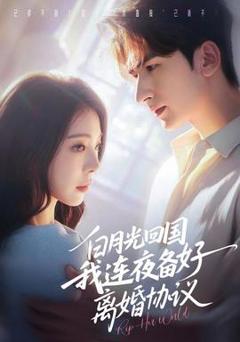 《白月光回国我连夜备好离婚协议》