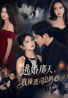 《逃婚那天，我撞进司总的心》