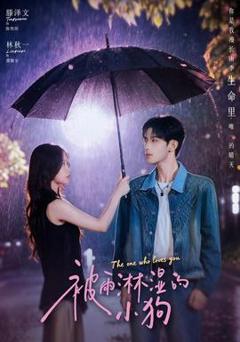 《被雨淋湿的小狗》