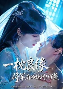 《一枕良缘，将军府的绝代双丫鬟》