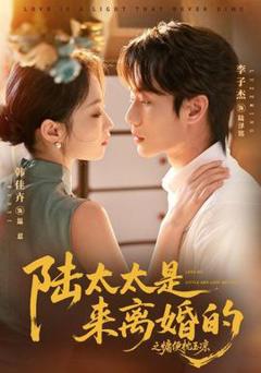 《陆太太是来离婚的之慵便枕玉凉》