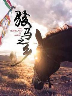 《骏马之乡》