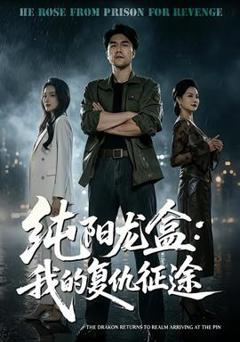 《纯阳龙盒：我的复仇征途》