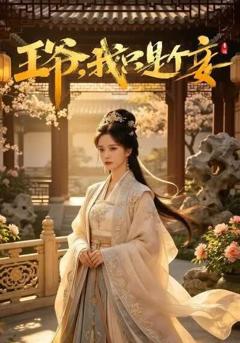 《王爷，我只是个妾》