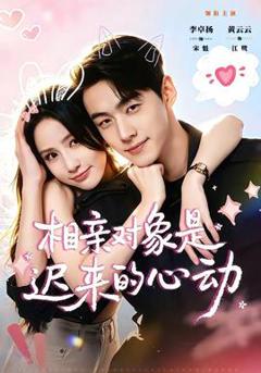 《相亲对象是迟来的心动》