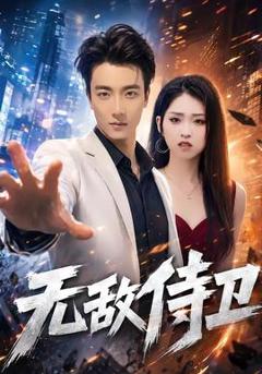 《无敌侍卫》