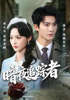 《暗夜追踪者》
