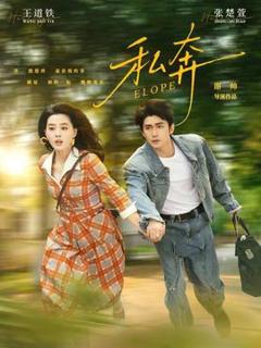 《私奔》