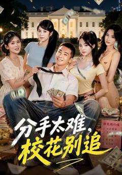 《分手太难，校花别追》